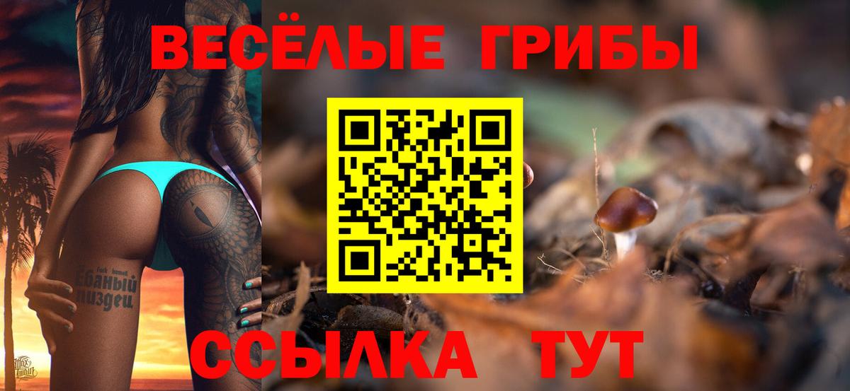 Псилоцибиновые грибы мицелий Чапаевск